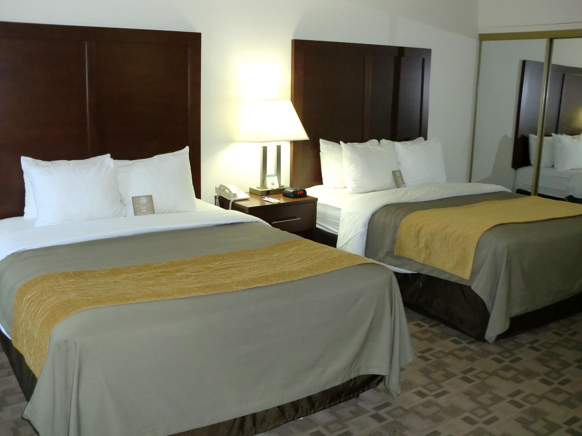 Comfort Inn Birch Run Esterno foto