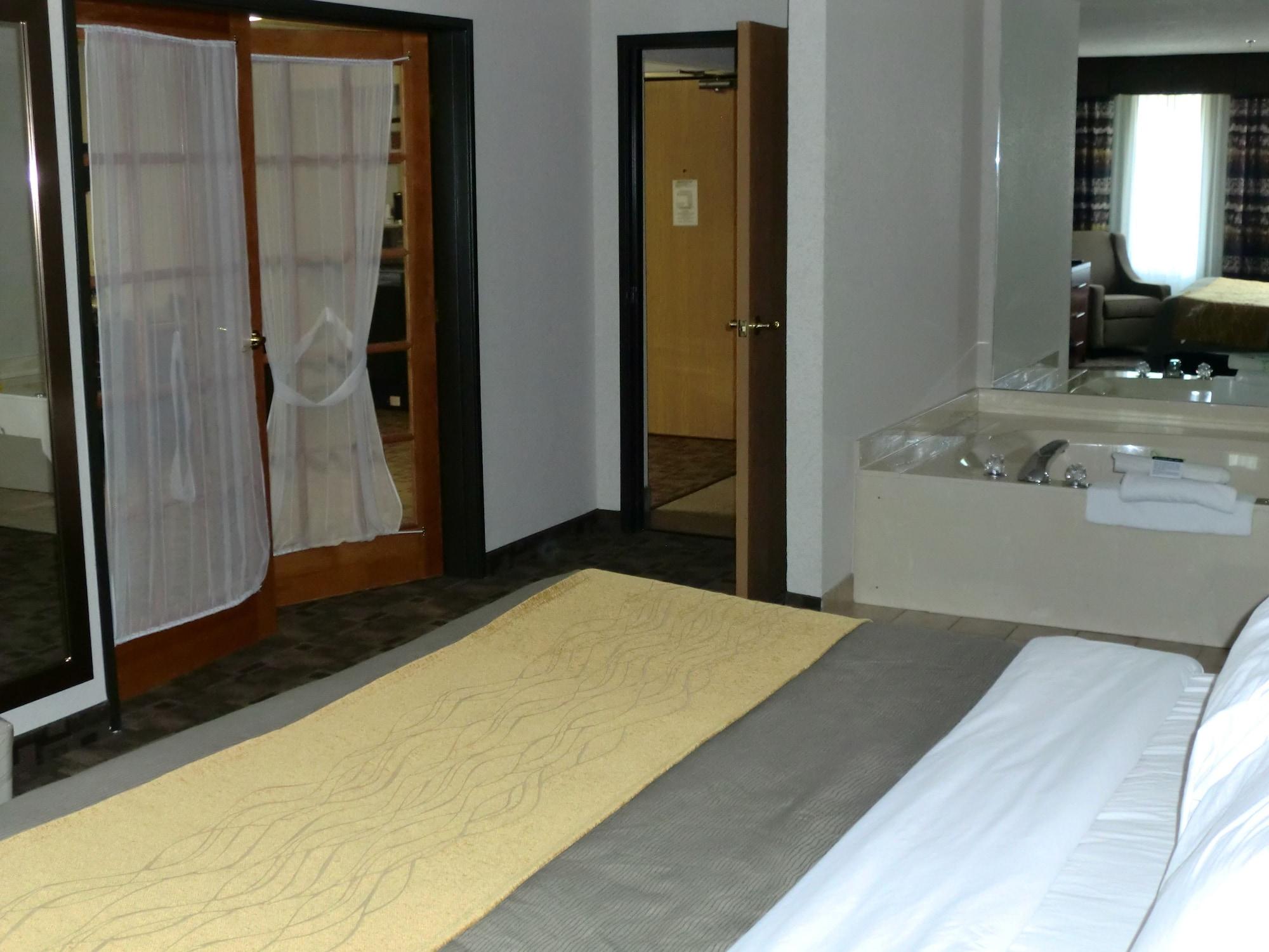 Comfort Inn Birch Run Esterno foto