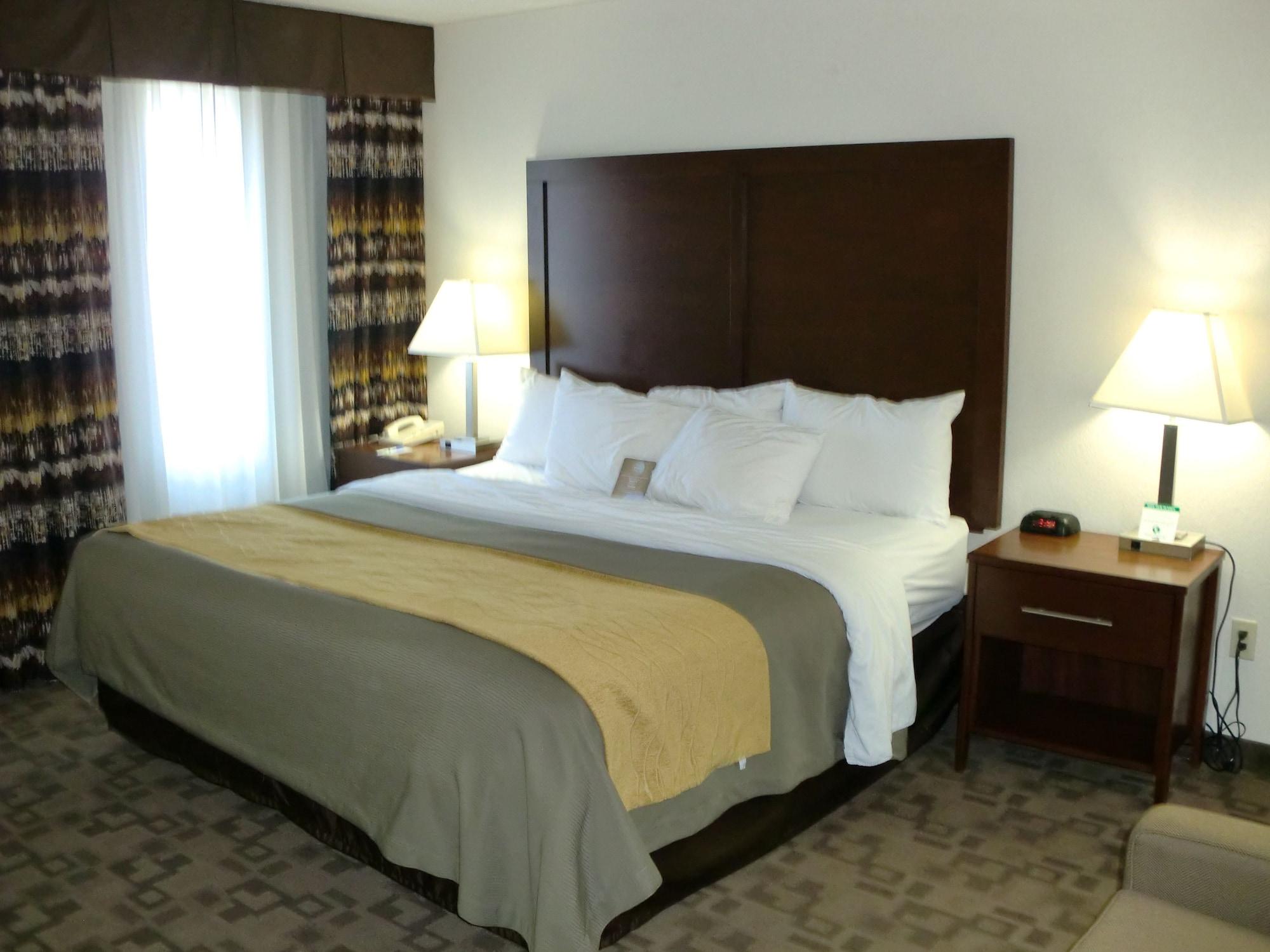 Comfort Inn Birch Run Esterno foto