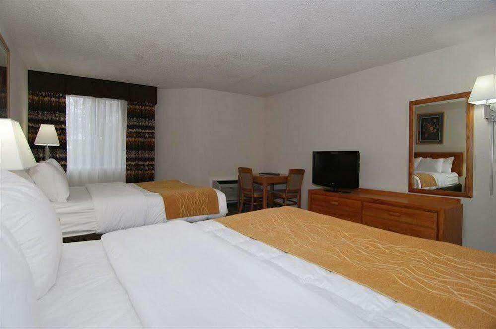 Comfort Inn Birch Run Esterno foto